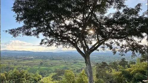 ty2qlhrcyj1imbu9qt7d